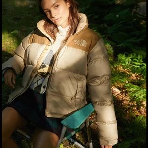 The north face women ECO NUPSTE JACKET